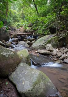东兴屏峰雨林公园6
