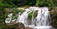 东兴屏峰雨林公园4