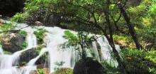 东兴屏峰雨林公园1