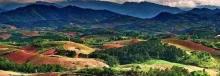 十万大山国家森林公园2