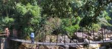 十万大山国家森林公园6