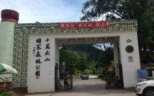 十万大山国家森林公园9