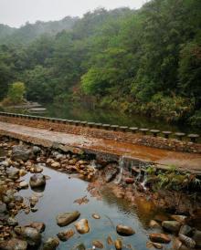 十万大山国家森林公园4