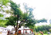 合村民间文化艺术馆10