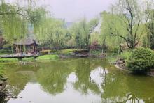 嘉绿苑公园3
