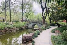嘉绿苑公园4