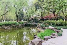 嘉绿苑公园2