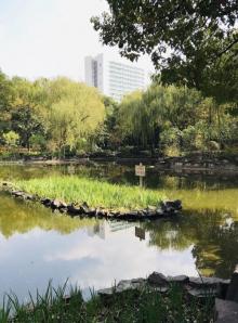 嘉绿苑公园13