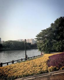 青莎公园2
