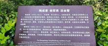 陶成章墓1