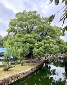西山21