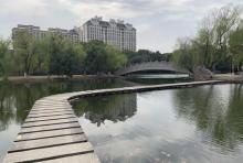 羊山公园2