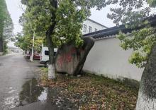 路仲古镇1