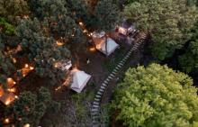 大象露营Elephant Camping28