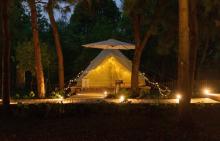 大象露营Elephant Camping5