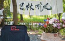 大象露营Elephant Camping4