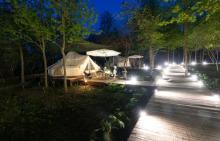 大象露营Elephant Camping26