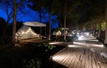 大象露营Elephant Camping27