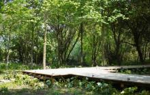 大象露营Elephant Camping9