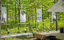 大象露营Elephant Camping8