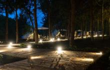 大象露营Elephant Camping12