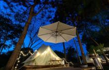 大象露营Elephant Camping23
