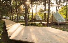 大象露营Elephant Camping22