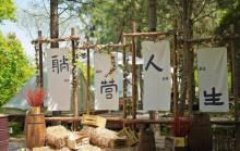大象露营Elephant Camping6