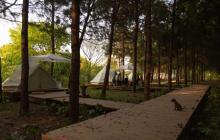 大象露营Elephant Camping21