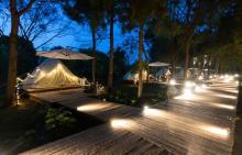大象露营Elephant Camping10