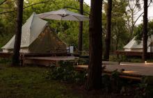 大象露营Elephant Camping7