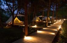 大象露营Elephant Camping3