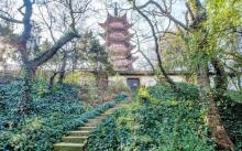 塔山公园4