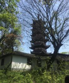 塔山公园8