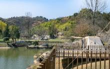 51Camp富阳天井山营地16