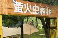 萤火虫森林露营地6
