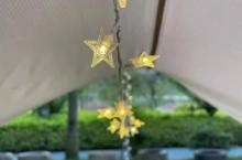 萤火虫森林露营地7