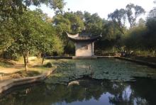兰亭国家森林公园4