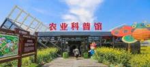 米果果小镇11