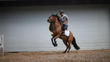 公爵骑射馆1