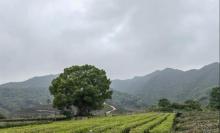 骑行公园5