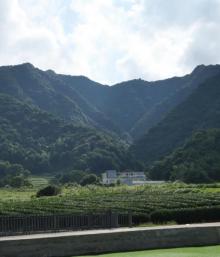 骑行公园3