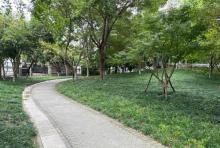近江小公园(富春路)2