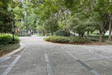近江小公园(富春路)5