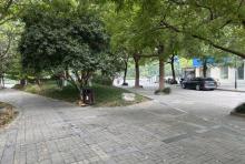 近江小公园(富春路)3