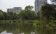 紫荆公园2