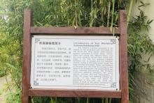 西溪婚俗馆2