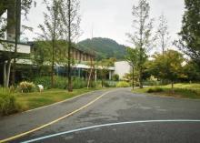 临平运动公园4