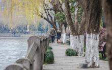 霞湾公园9
