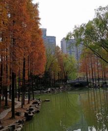 霞湾公园11